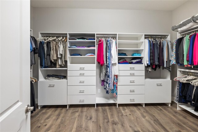 spacious closet featuring dark wood-type flooring