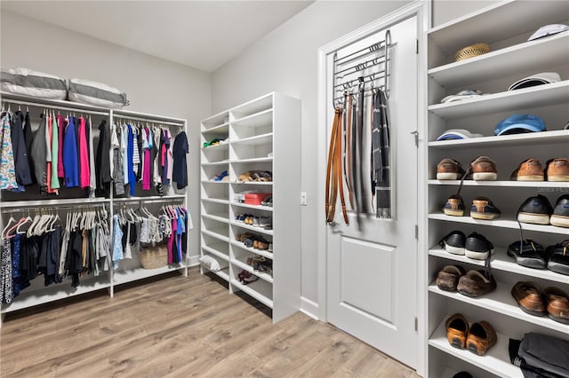 walk in closet with wood-type flooring