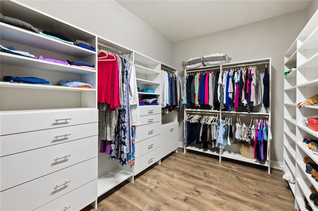 spacious closet with hardwood / wood-style flooring