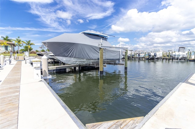 dock area with a water view