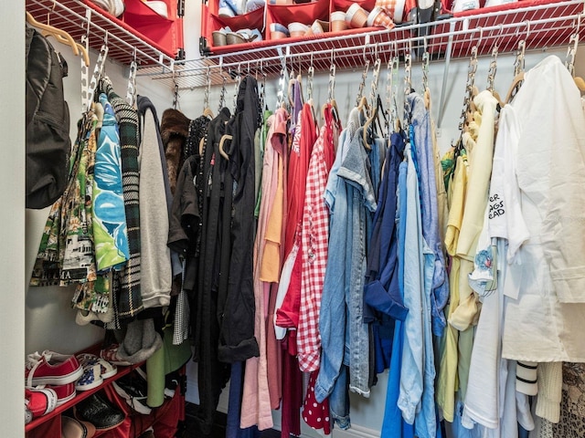 view of spacious closet