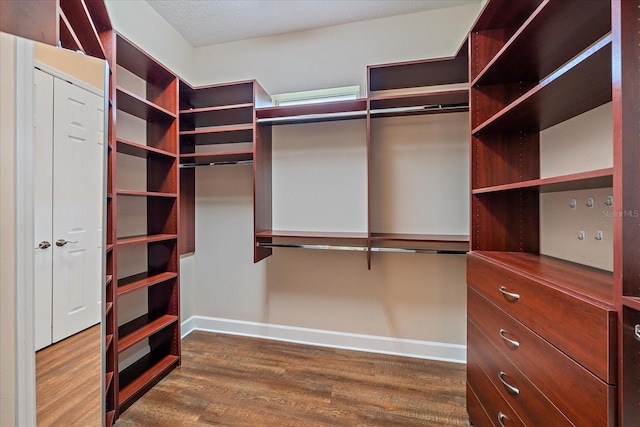 walk in closet with dark wood-type flooring