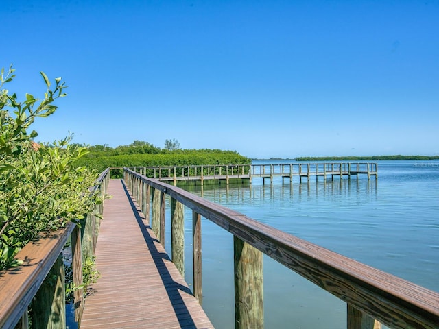 dock area with a water view