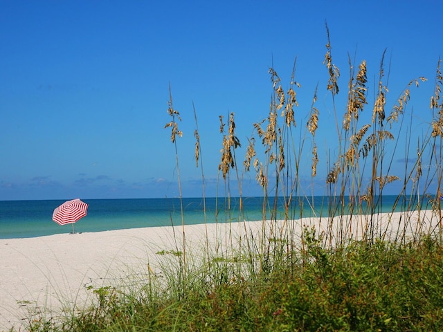 property view of water featuring a beach view