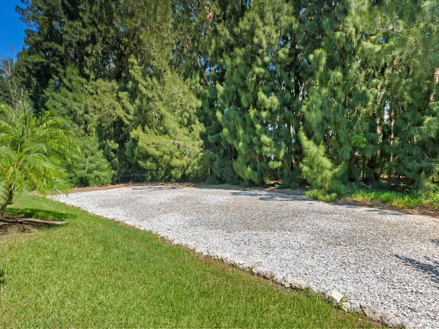 view of home's community with a yard