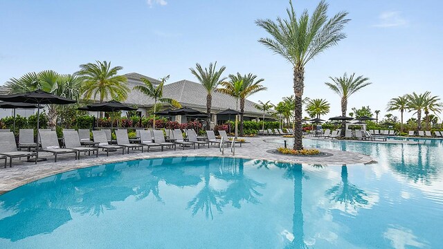 view of pool with a patio