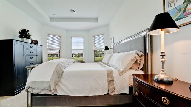 carpeted bedroom featuring a raised ceiling