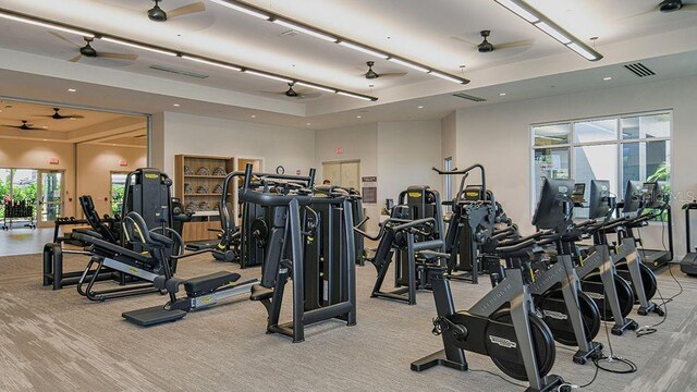 workout area with a raised ceiling