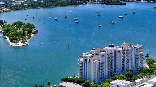 aerial view with a water view