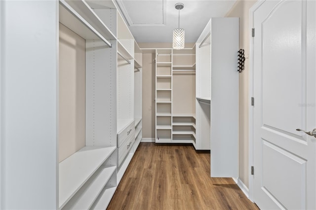 walk in closet with dark hardwood / wood-style flooring