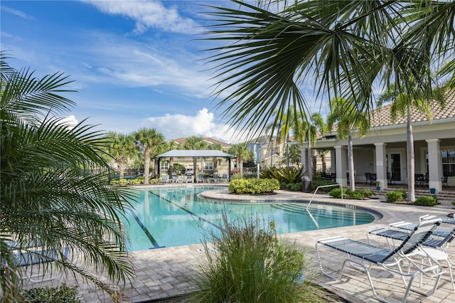 view of pool featuring a patio