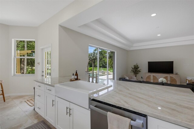 kitchen with white cabinets, dishwasher, and a healthy amount of sunlight