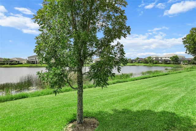 view of yard with a water view