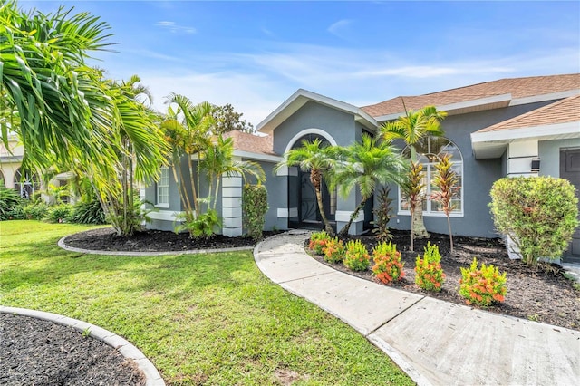 view of front of home featuring stucco siding, a front yard, and a shingled roof