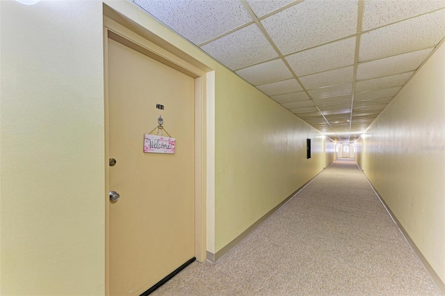 corridor featuring a paneled ceiling and light colored carpet