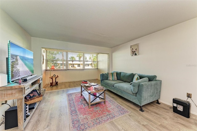 living room featuring light hardwood / wood-style flooring