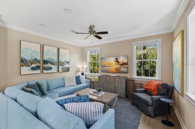 living room with ceiling fan, plenty of natural light, hardwood / wood-style floors, and crown molding