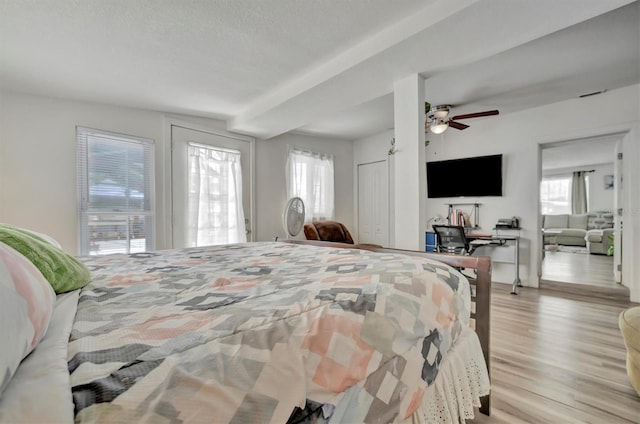 bedroom with multiple windows, ceiling fan, light hardwood / wood-style floors, and a textured ceiling