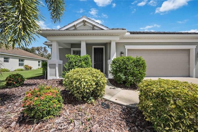 164 Avens Dr, Nokomis, FL 34275 - photo 5
