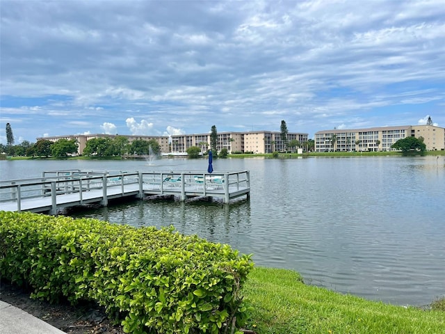 dock area with a water view