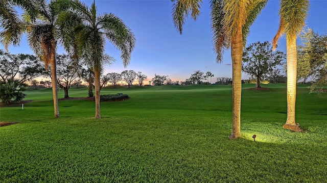 view of property's community featuring a lawn