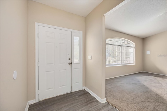 foyer featuring dark wood-type flooring