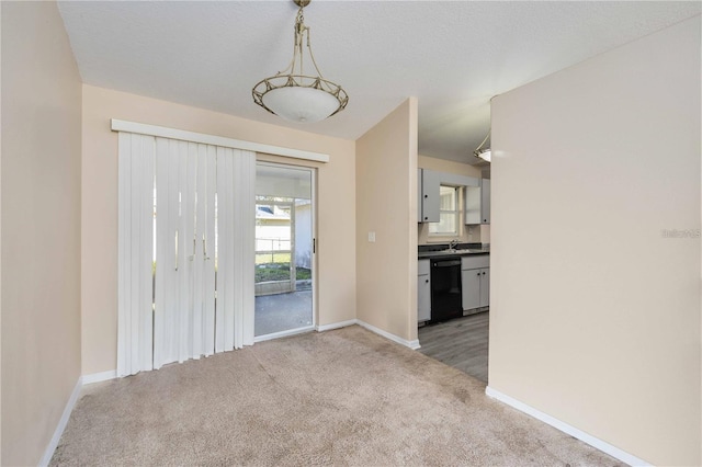 interior space with carpet, a textured ceiling, and sink