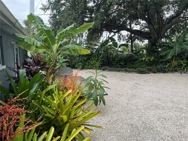 view of yard with a patio area