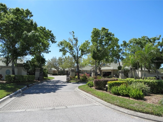 view of street with curbs