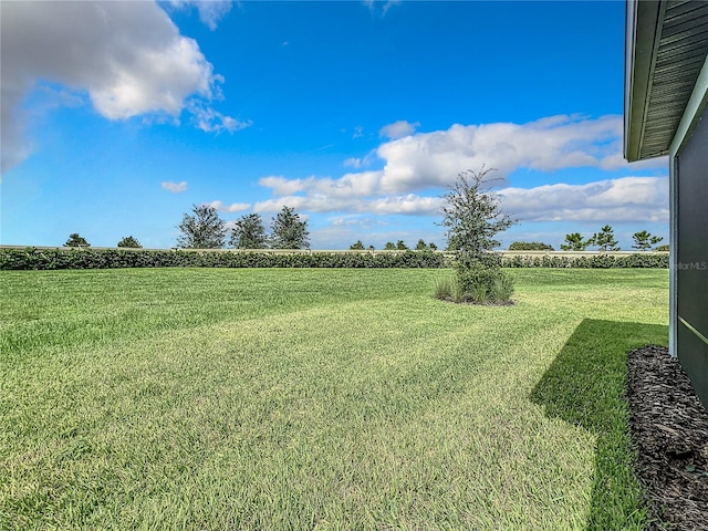 view of yard featuring a rural view