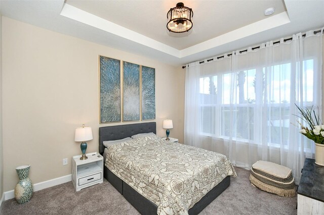 carpeted bedroom featuring a tray ceiling