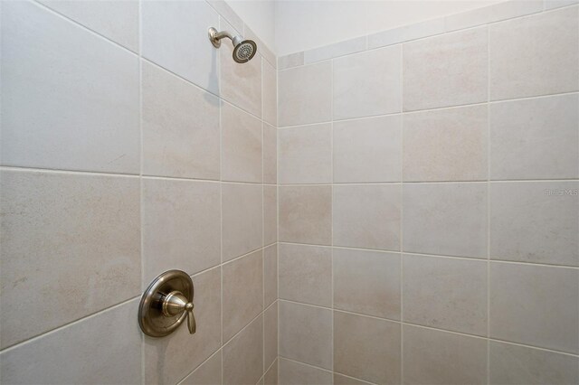 interior details with tiled shower