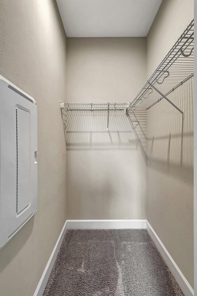 spacious closet featuring carpet flooring