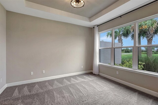 carpeted spare room with a raised ceiling