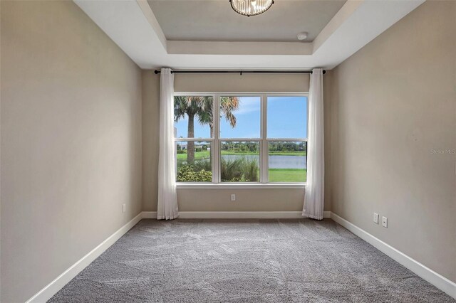 spare room with carpet floors, a tray ceiling, and plenty of natural light