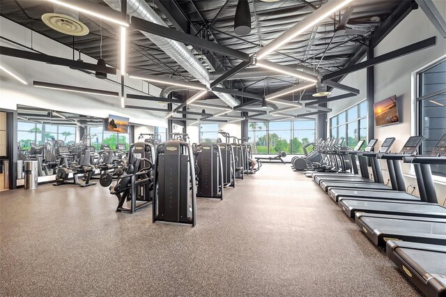 exercise room with a healthy amount of sunlight