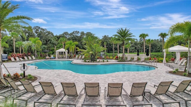 view of pool with a patio