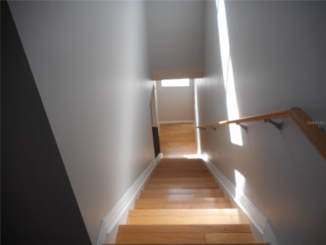 staircase featuring hardwood / wood-style floors and plenty of natural light