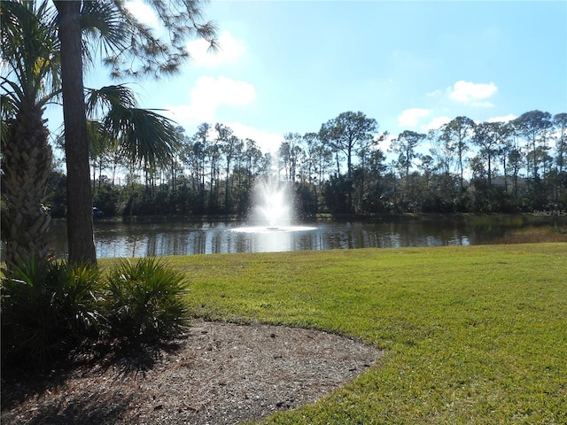 view of water feature