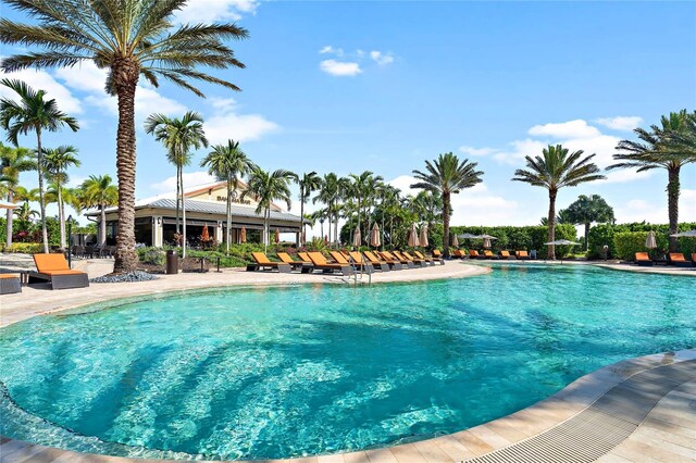 view of pool featuring a patio