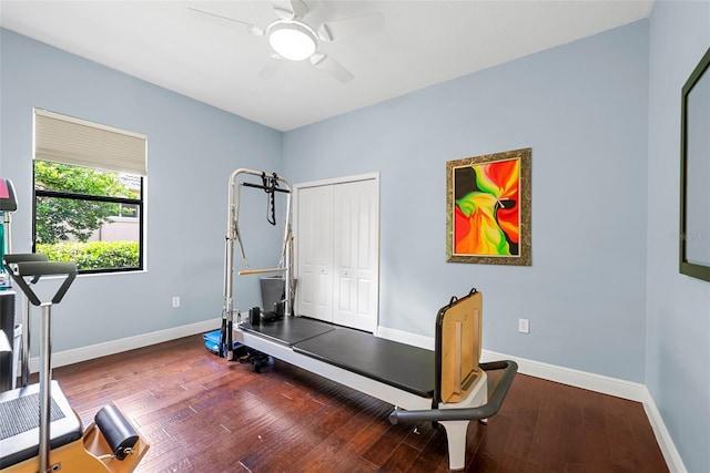 exercise area with dark hardwood / wood-style flooring and ceiling fan