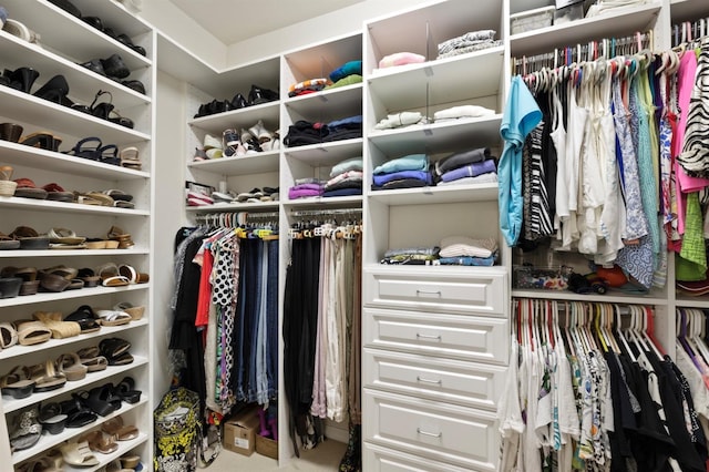 view of spacious closet