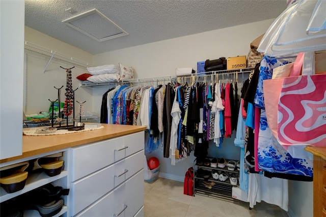 view of walk in closet