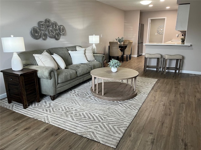 living room featuring dark wood-type flooring and sink