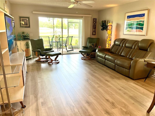 living room featuring ceiling fan and light wood-style flooring