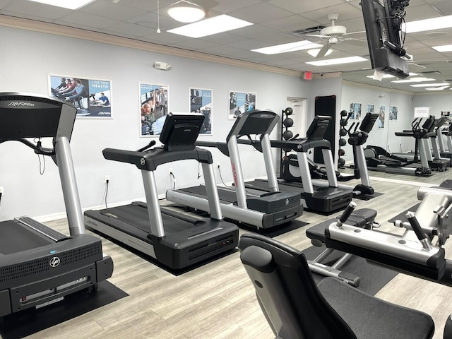 workout area featuring a ceiling fan, crown molding, light wood-style flooring, and a paneled ceiling