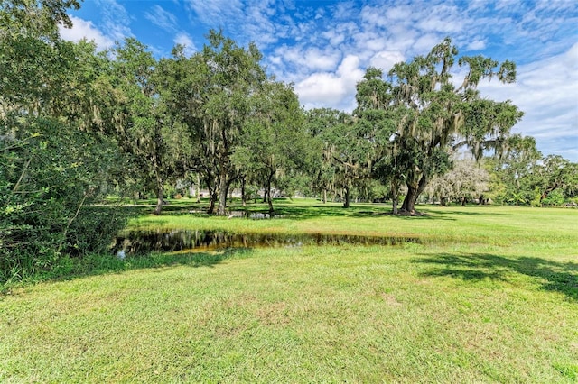 view of yard featuring a water view