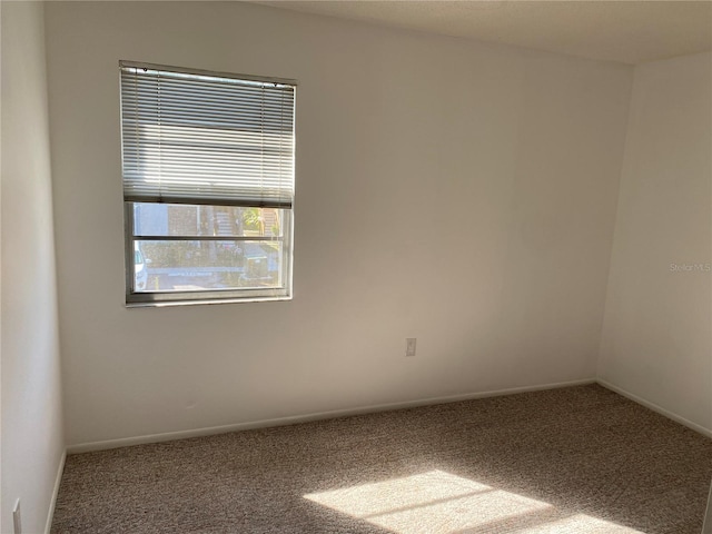 unfurnished room with carpet