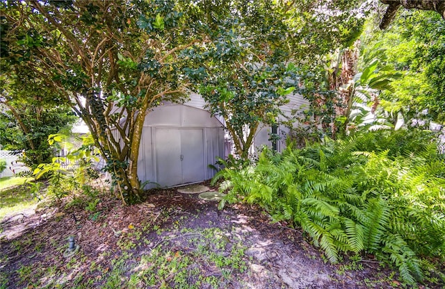 view of yard featuring a shed