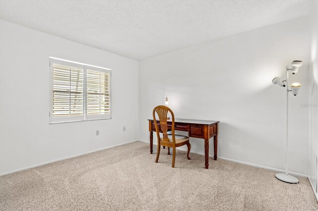 office space with light colored carpet and a textured ceiling